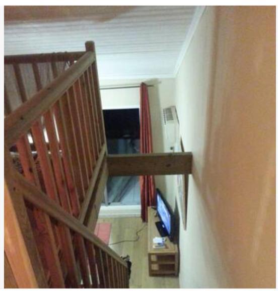 Les Aigrettes St Gilles Les Bains Daire Saint-Paul Dış mekan fotoğraf